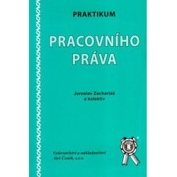 Praktikum pracovního práva