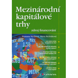 Mezinárodní kapitálové trhy a zdroj financování