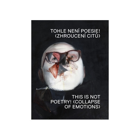 Tohle není poesie!