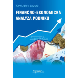 Finančno-ekonomická analýza podniku