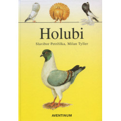 Holubi
