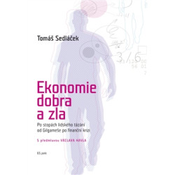 Ekonomie dobra a zla