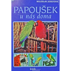 Papoušek u nás doma