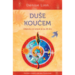 Duše koučem