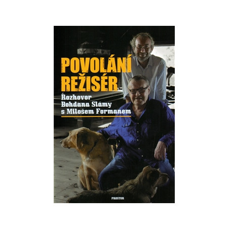 Povolání režisér