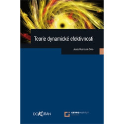 Teorie dynamické efektivnosti