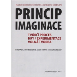 Princip imaginace