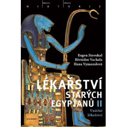 Lékařství starých Egypťanů II - Vnitřní lékařství