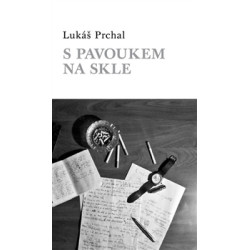 S pavoukem na skle