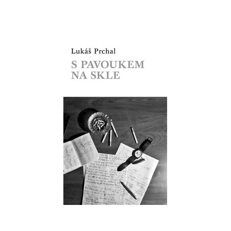 S pavoukem na skle