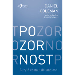 Pozornost