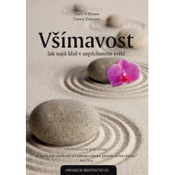 Všímavost