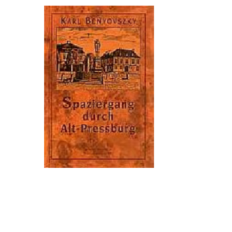 Spaziergang durch Alt-Pressburg