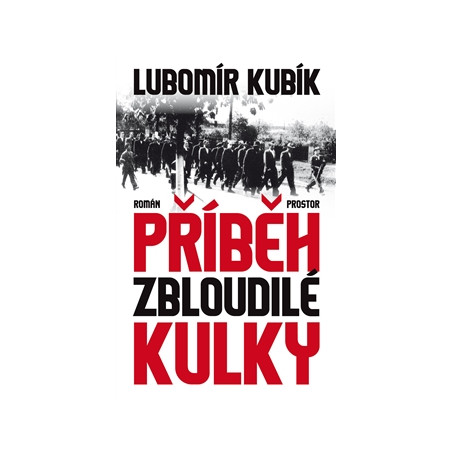 Příběh zbloudilé kulky