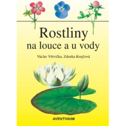 Rostliny na louce a u vody