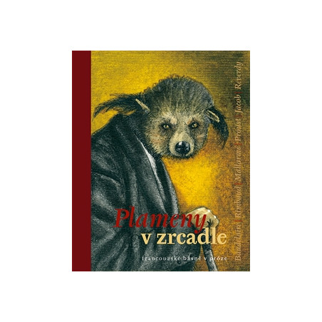 Plameny v zrcadle