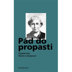 Pád do propasti