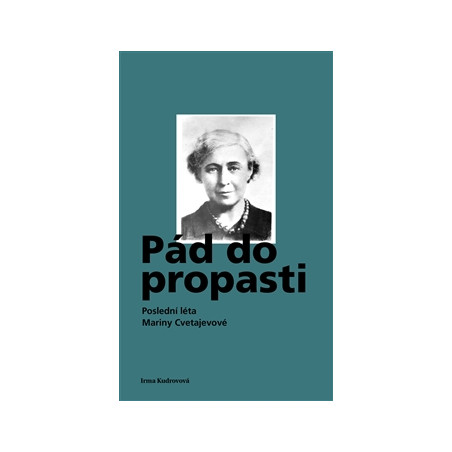 Pád do propasti