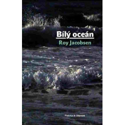 Bílý oceán