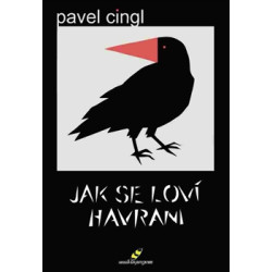 Jak se loví havrani