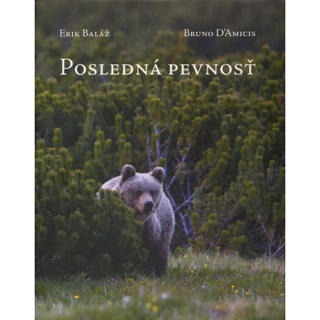 Posledná pevnosť