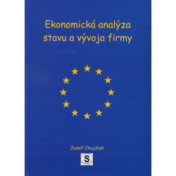 Ekonomická analýza stavu a vývoja firmy